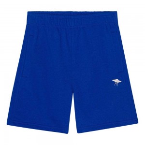 Molo Adian Shorts Jungen Reef Blue | CH0000728