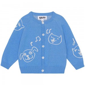 Molo Brody Sweatshirts Cardigans Jungen Forget Me Not | CH0001316