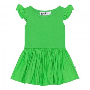 Molo Cimi Kleider Mädchen Classic Green | CH0001302