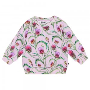 Molo Disc Sweatshirts Cardigans Mädchen Artichoke Mini | CH0001398