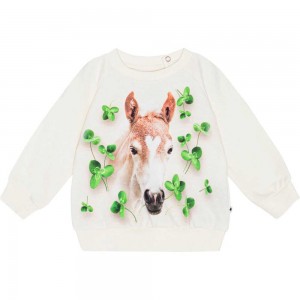 Molo Disc Sweatshirts Cardigans Mädchen Clover Foal | CH0001406