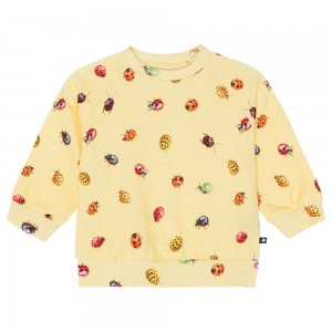 Molo Disc Sweatshirts Cardigans Mädchen Coccinella | CH0001402