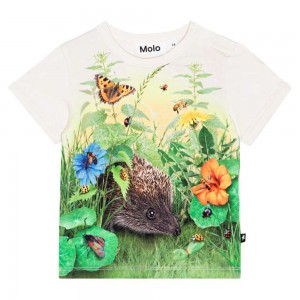 Molo Easy T Shirts Tops Jungen Living Garden | CH0001420