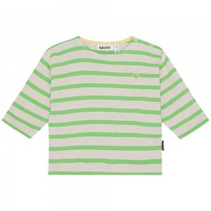 Molo Edarko T Shirts Tops Jungen Grass Stripe | CH0001422