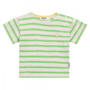 Molo Eivor T Shirts Tops Jungen Grass Stripe | CH0001424