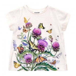 Molo Elly T Shirts Tops Mädchen Garden Top | CH0001427