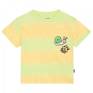 Molo Enzo T Shirts Tops Jungen Bleach Sun | CH0001412