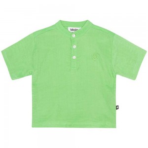 Molo Ever T Shirts Tops Jungen Grass Green | CH0001419