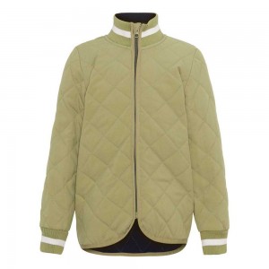 Molo Husky Fleece Softshell Cedar | CH0000175