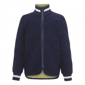 Molo Husky Fleece Softshell Classic Navy | CH0000156