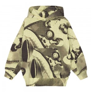 Molo Maxx Sweatshirts Cardigans Jungen Boards | CH0000751