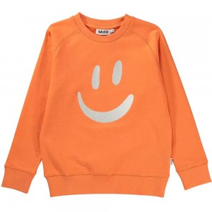 Molo Mike Sweatshirts Cardigans Mädchen Ember | CH0000466