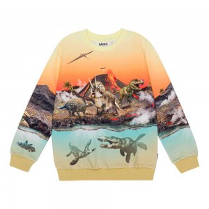 Molo Miksi Sweatshirts Cardigans Jungen Volcano Dinos | CH0000743