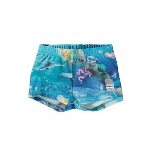 Molo Nansen Badeshorts Ocean Zones | CH0001138