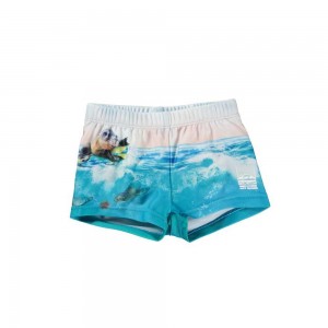 Molo Nansen Badeshorts Sealion | CH0001115