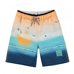 Molo Neal Badeshorts Sunset Beach | CH0001147