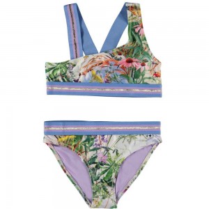 Molo Nicola Bikinis Wild Nature | CH0001053