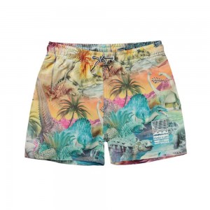 Molo Niko Badeshorts Dino Paradis | CH0001132