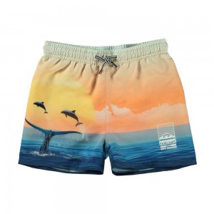 Molo Niko Badeshorts Ocean Smile | CH0001143