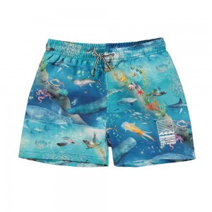 Molo Niko Badeshorts Ocean Zones | CH0001137