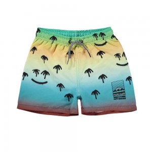 Molo Niko Badeshorts Palm Spray | CH0001117