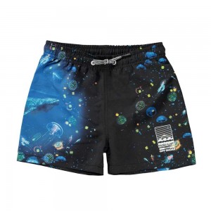 Molo Niko Badeshorts Plankton | CH0001159