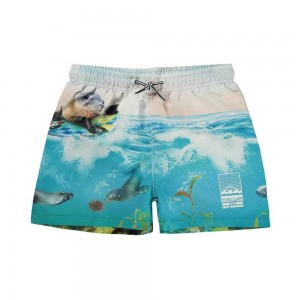 Molo Niko Badeshorts Sealion | CH0001116