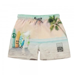 Molo Niko Badeshorts Sunrise Surfer | CH0001120