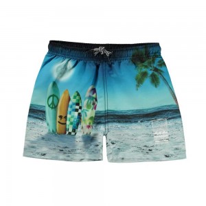 Molo Niko Badeshorts Sunset Surfer | CH0001121