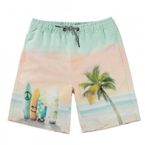 Molo Nilson Badeshorts Sunrise Surfer | CH0001123