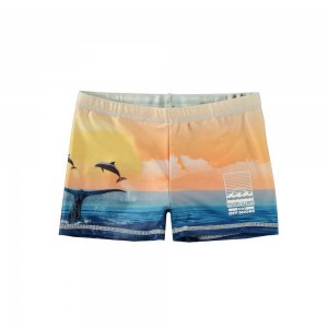 Molo Norton Placed Badeshorts Ocean Smile | CH0001144