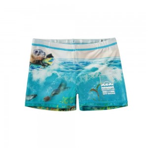 Molo Norton Placed Badeshorts Sealion | CH0001114