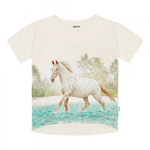 Molo Raeesa T Shirts Tops Mädchen Horse On Beach | CH0000523