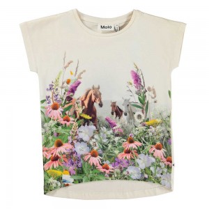 Molo Ragnhilde T Shirts Tops Mädchen Wild Horses | CH0000585