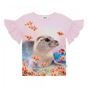 Molo Rayah T Shirts Tops Mädchen Seal Reef | CH0000498