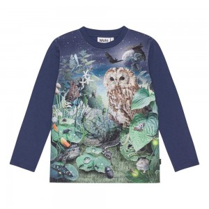 Molo Reif T Shirts Tops Jungen Night Garden | CH0000828