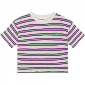 Molo Reinette T Shirts Tops Mädchen Purple Green Stripe | CH0000531