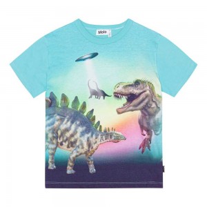 Molo Riley T Shirts Tops Jungen Beaming Dinos | CH0000829