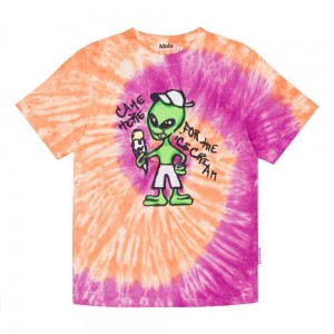 Molo Riley T Shirts Tops Jungen Ember Purple Dye | CH0000783