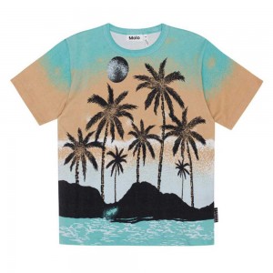 Molo Riley T Shirts Tops Jungen Holiday Island | CH0000778