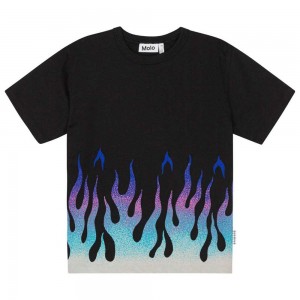 Molo Riley T Shirts Tops Jungen Lit | CH0000849