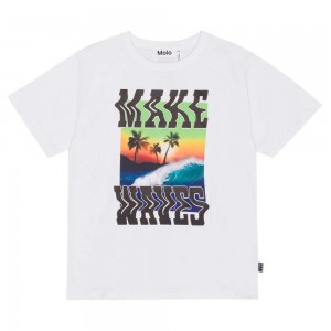 Molo Riley T Shirts Tops Jungen Make Waves | CH0000772