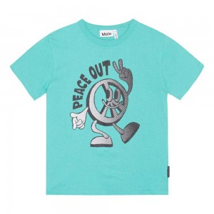 Molo Riley T Shirts Tops Jungen Pacific | CH0000830