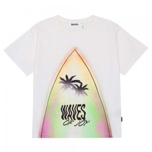 Molo Riley T Shirts Tops Jungen Surfboard | CH0000813