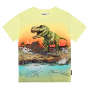 Molo Riley T Shirts Tops Jungen Volcano Dino | CH0000808