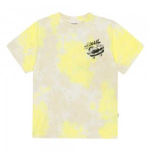 Molo Rodney T Shirts Tops Jungen Lemon Sand Dye | CH0000825