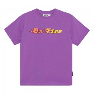 Molo Rodney T Shirts Tops Jungen Purple Sky | CH0000852