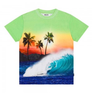 Molo Roxo T Shirts Tops Jungen Green Sunset | CH0000771