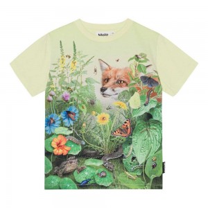 Molo Roxo T Shirts Tops Jungen Wild Garden | CH0000827