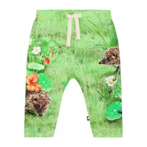 Molo Sabb Pants Jeans Jungen Garden Nature | CH0001344